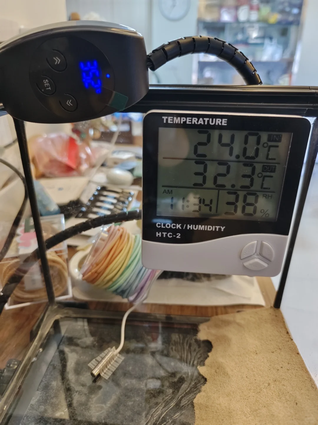 守宫饲养缸温度计选择