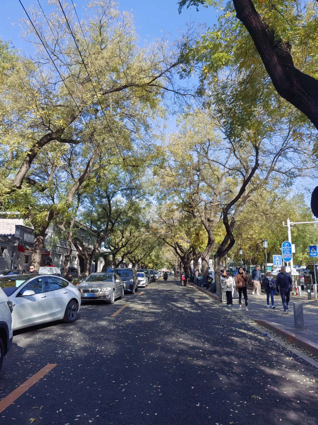 城市通勤利器，伯希和冲锋衣的体面守护