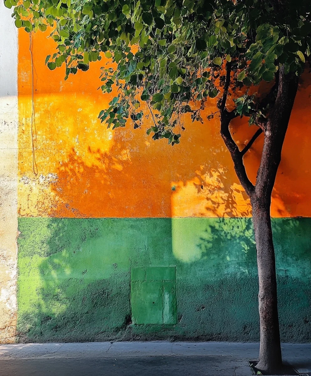 审美积累｜当色彩在光影里相遇