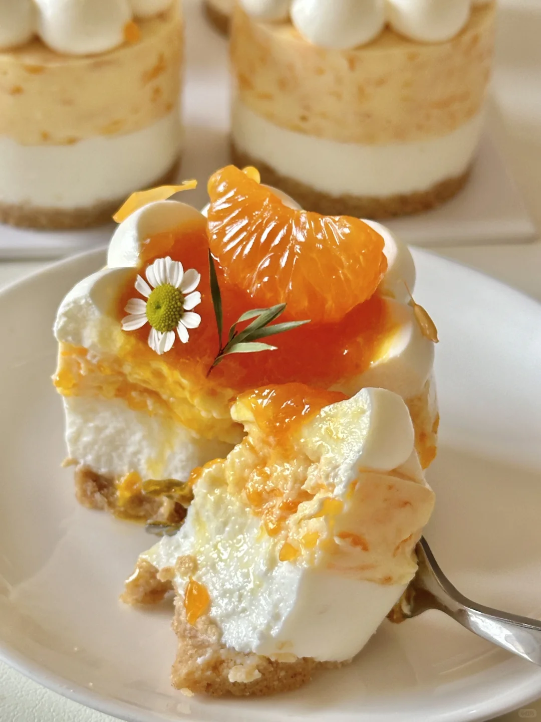 一口惊艳！?蜜橘酸奶慕斯蛋糕?深秋必吃～