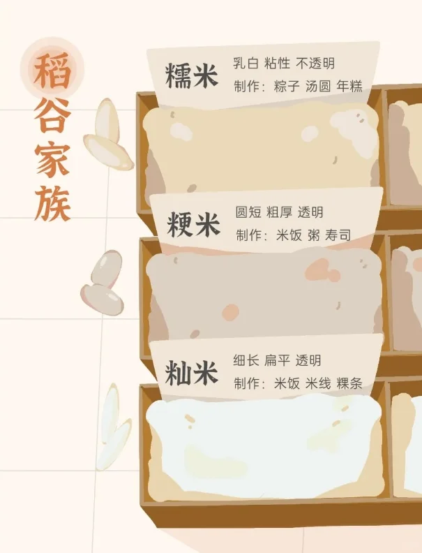 “五谷丰登”究竟指的是哪五种？