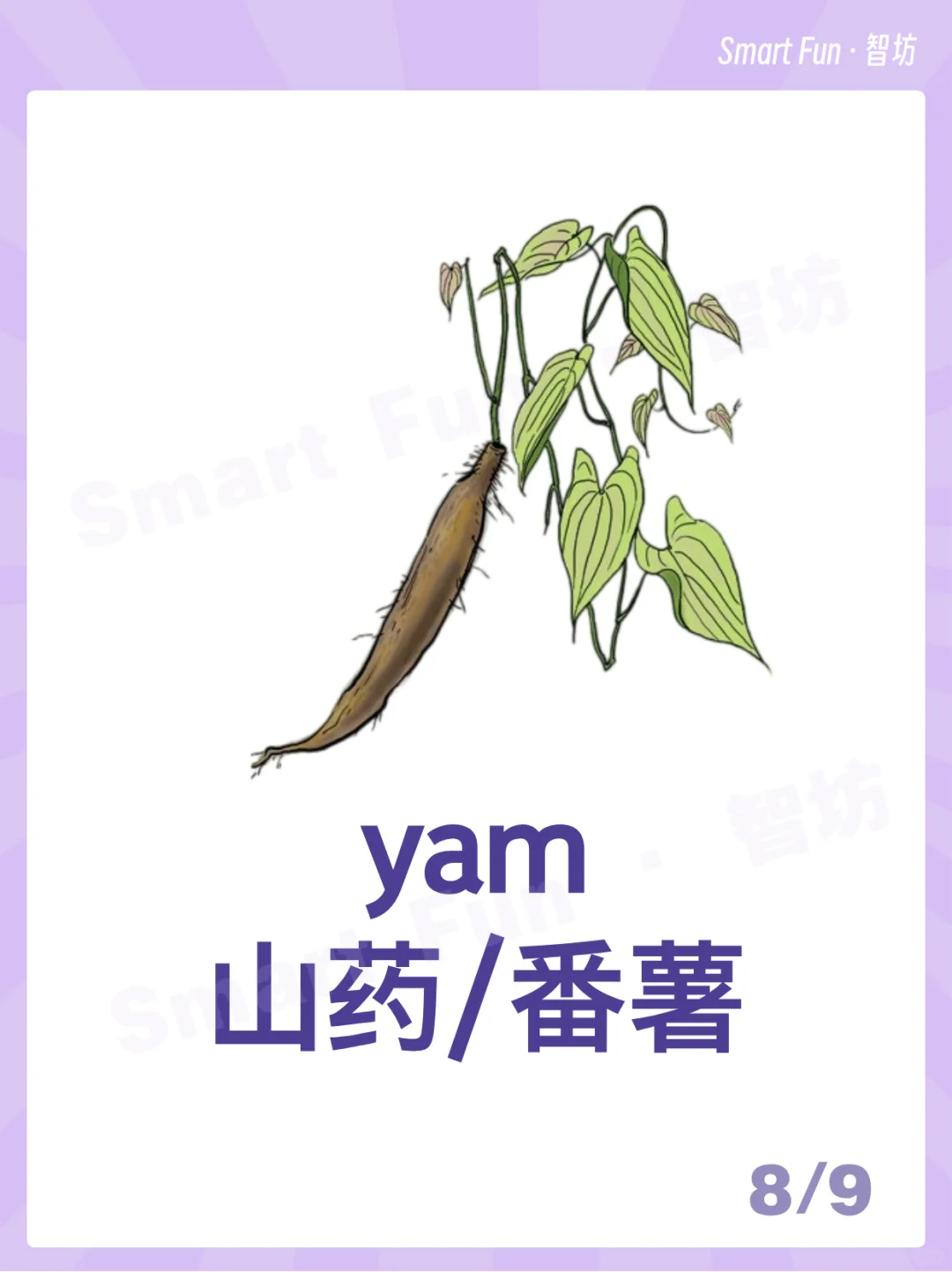 英语词卡｜常见的农作物用英语怎么说