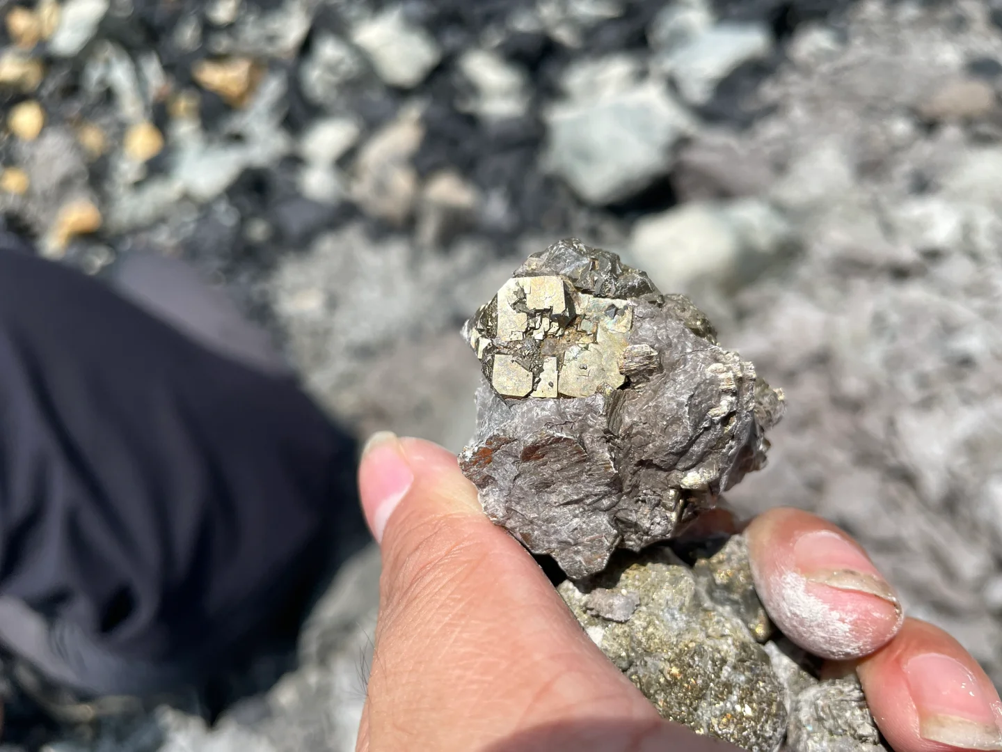 黄金矿工，采集自江苏句容灰岩里的“金疙瘩”