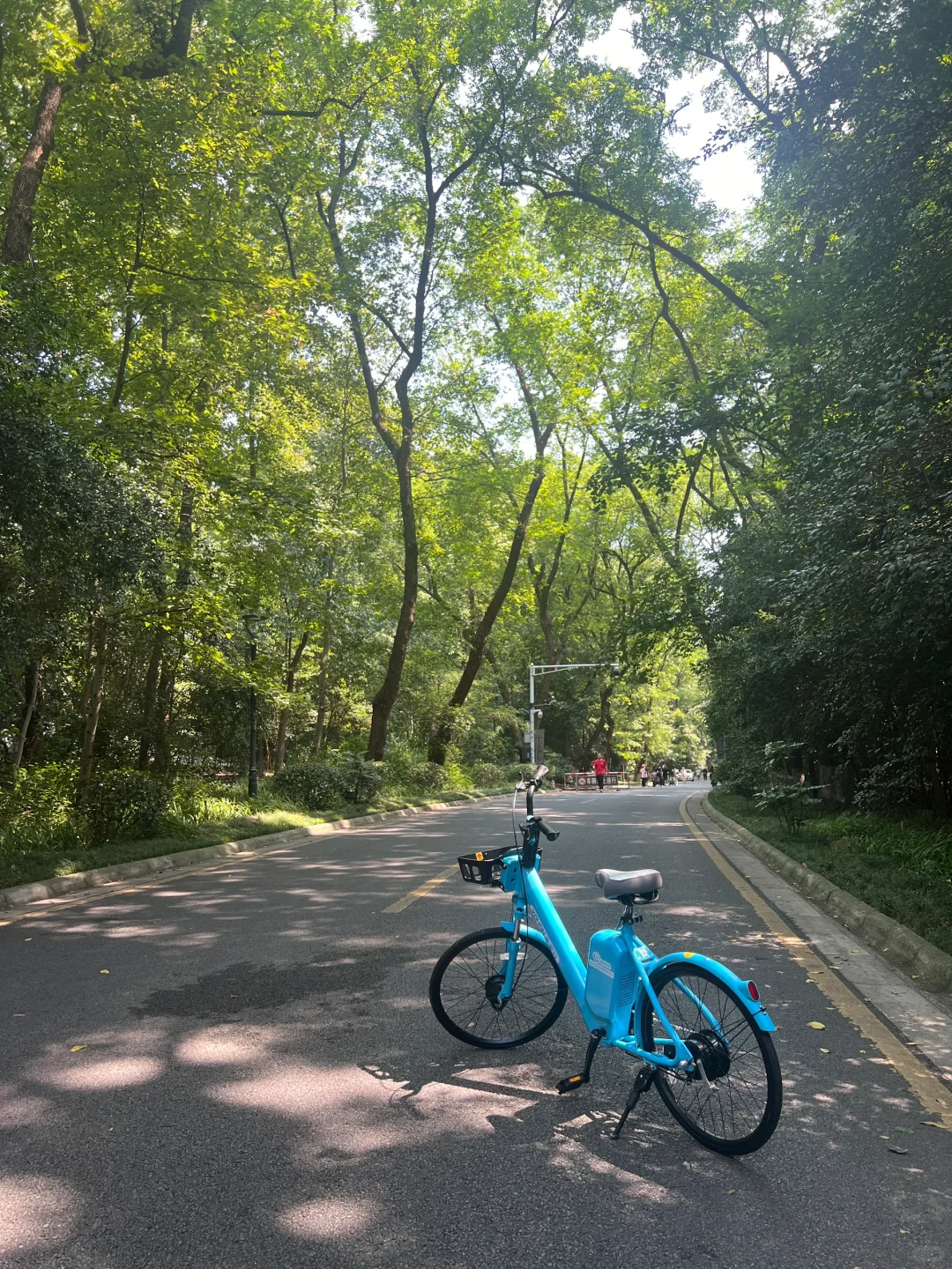 10公里亲测！中山陵的氢能自行车太方便了