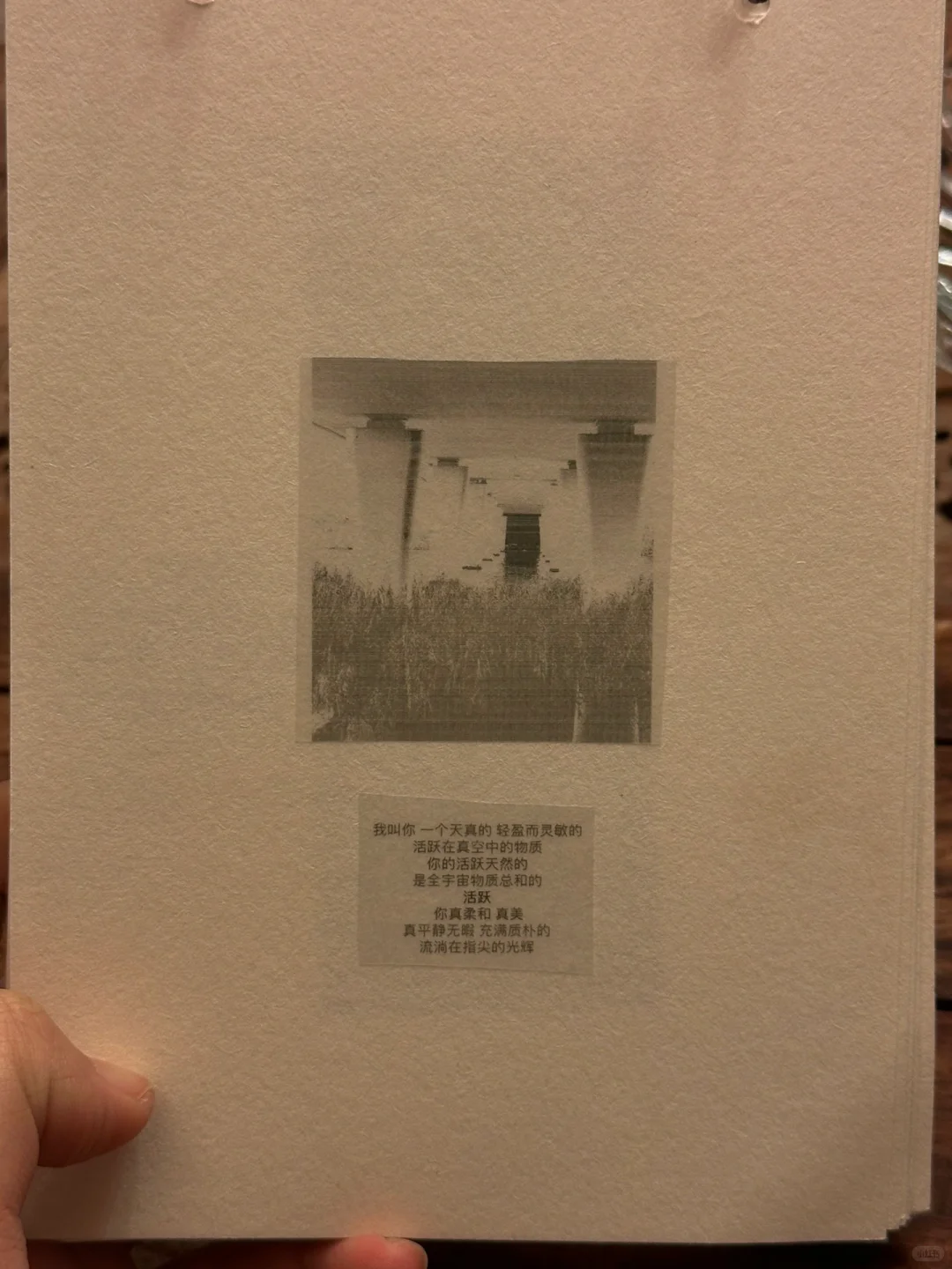 这个世界是一个巨大的咕咕机