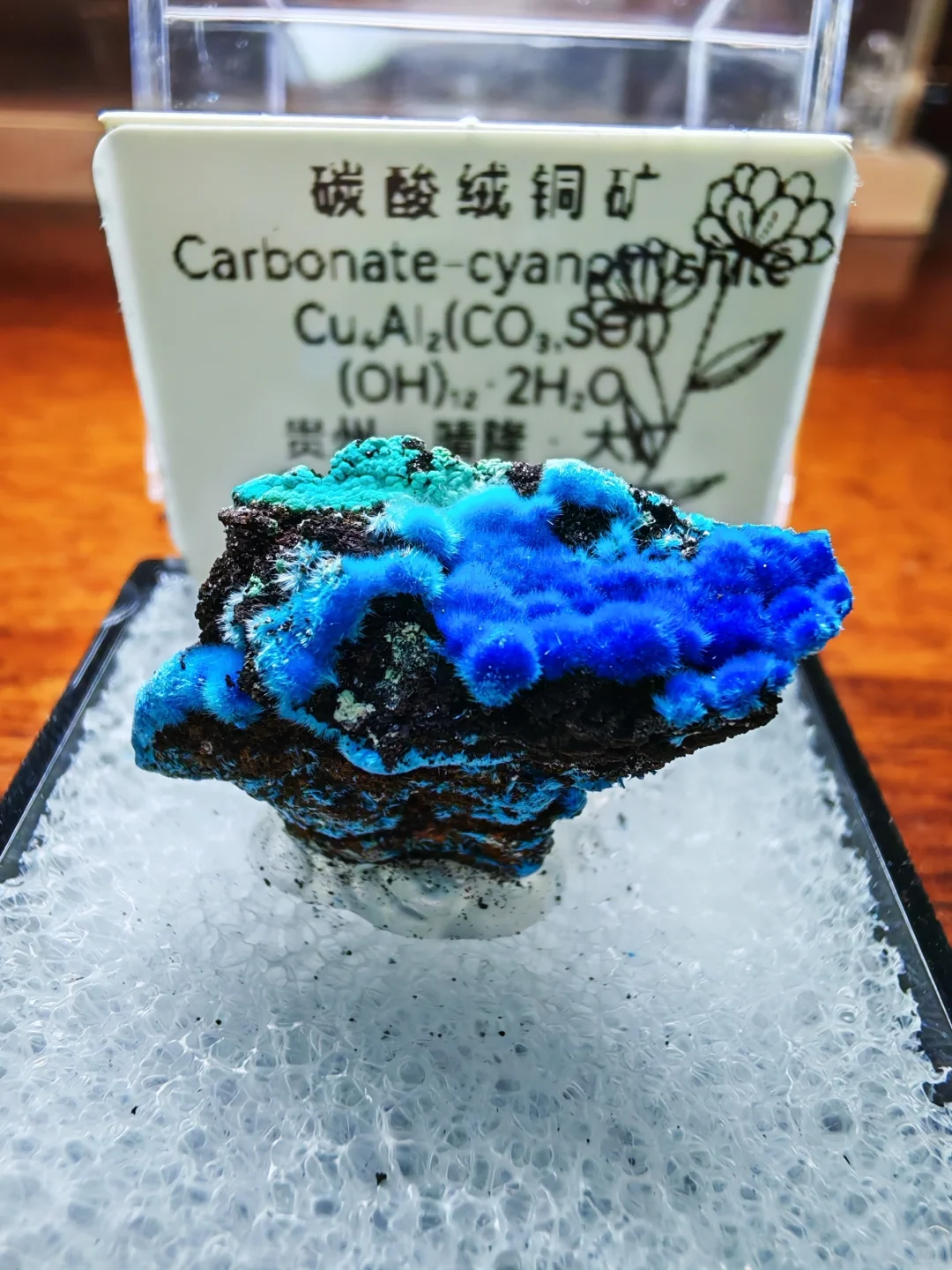 2025年矿标收藏分享⑥