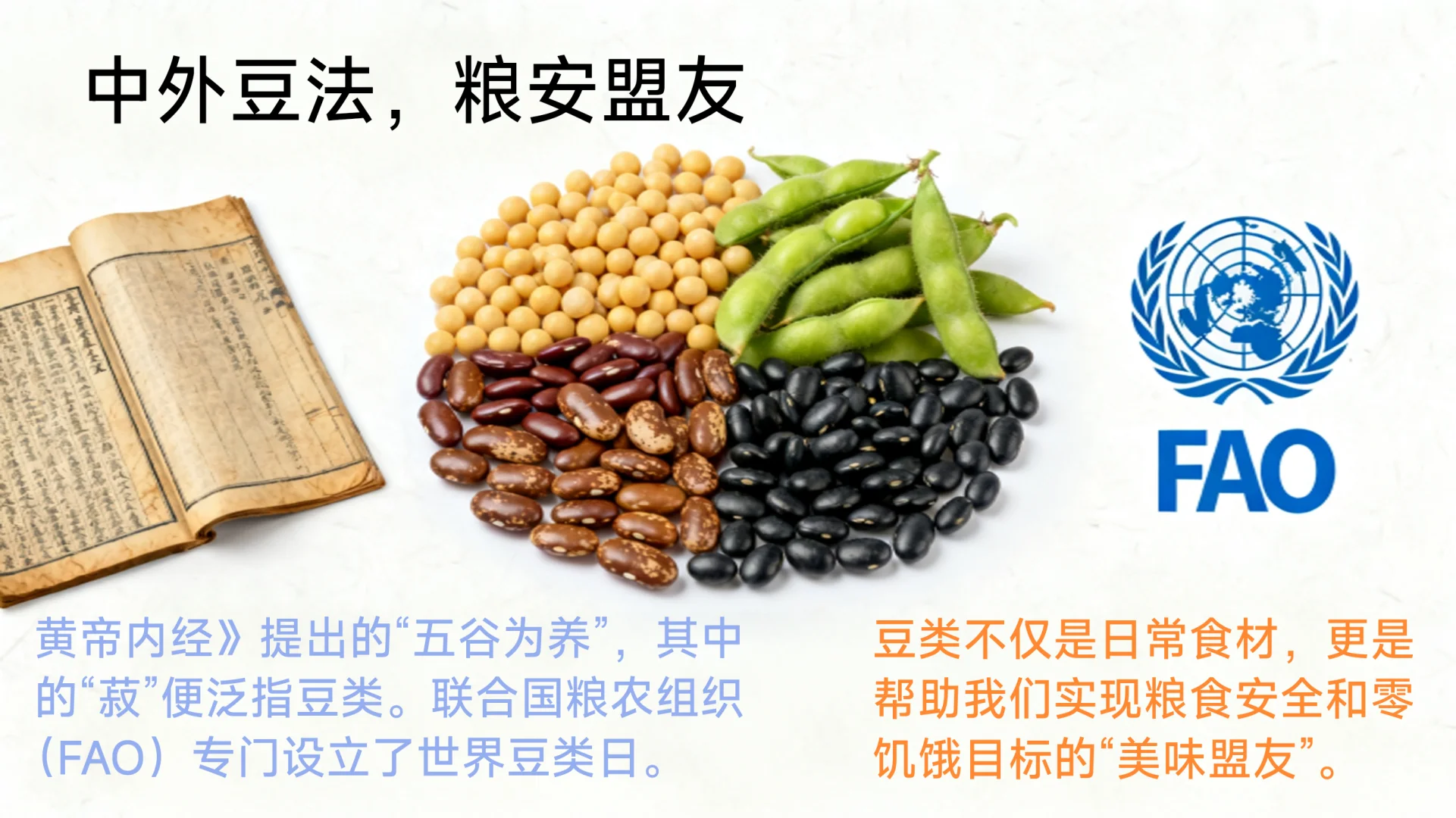 豆类王国:被低估的植物肉与营养库