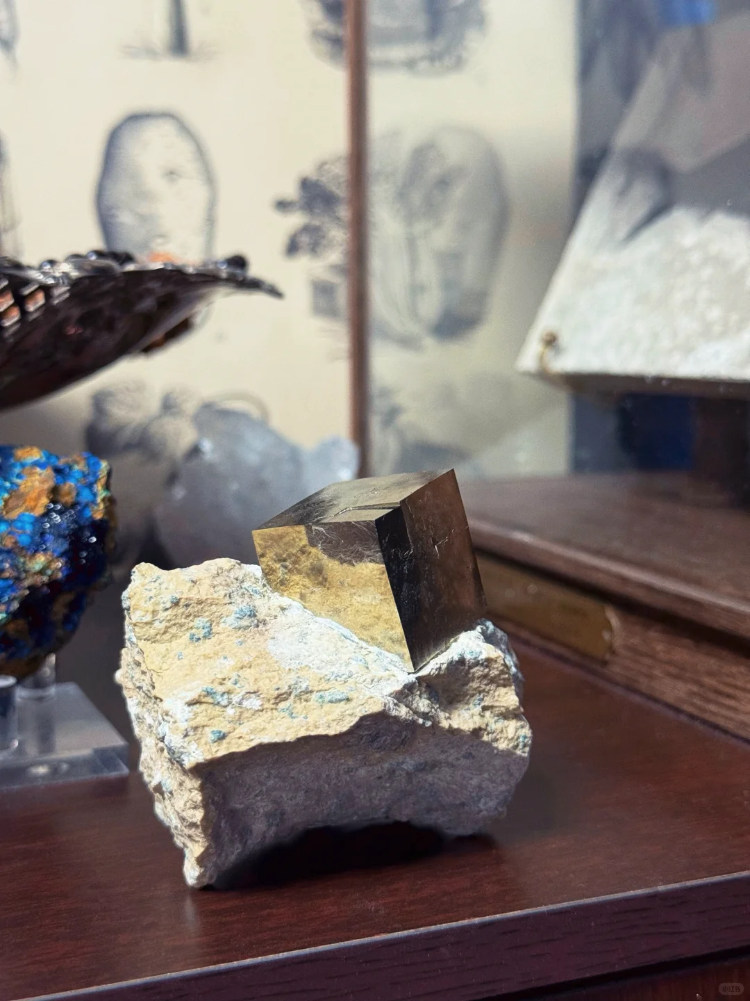 个人收藏】超级大跌价的黄铁矿