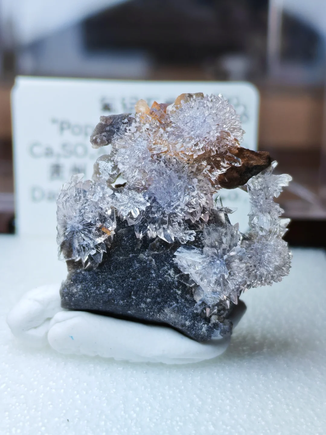 2025年矿标收藏分享⑥