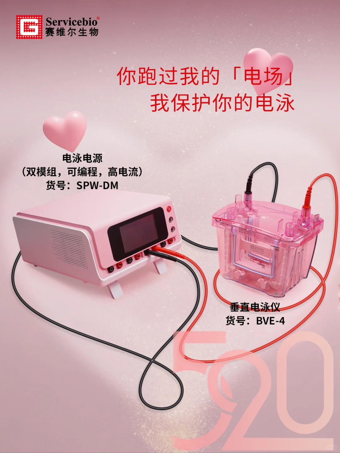 520快乐?粉色限量版电泳仪➕电泳电源