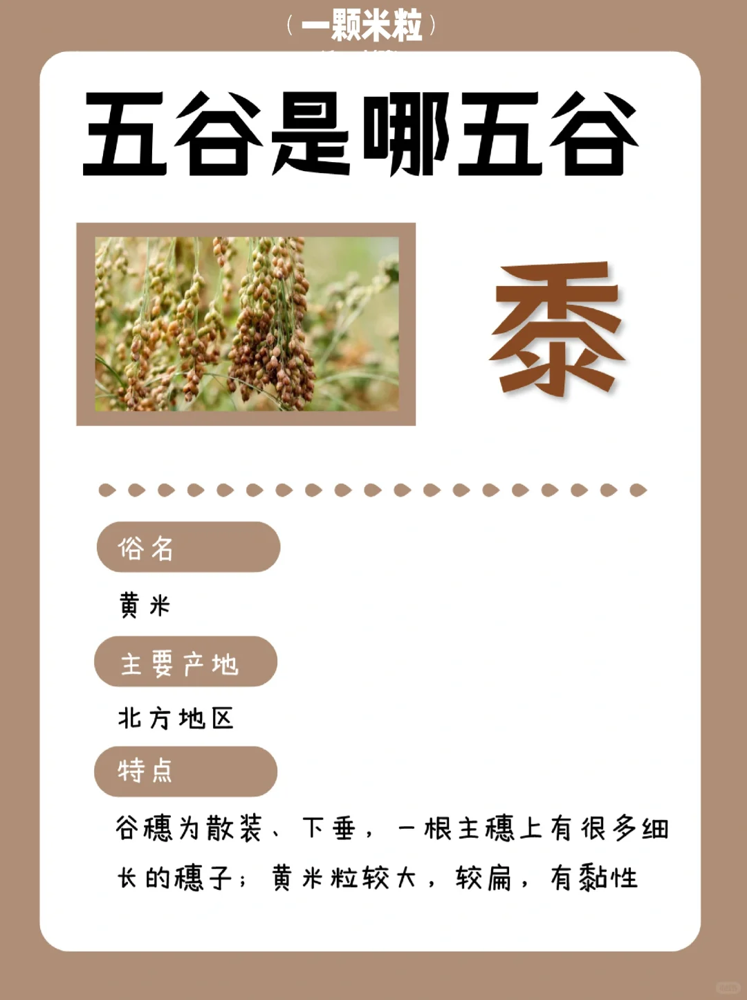 养人的五谷是哪五谷？