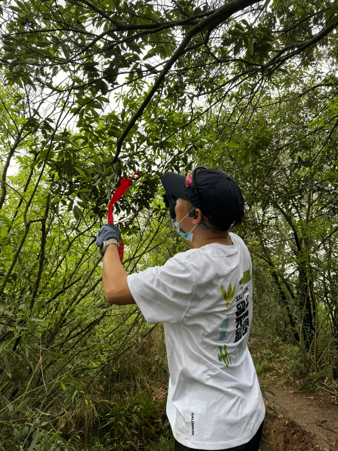 如果这个周末 你也进山