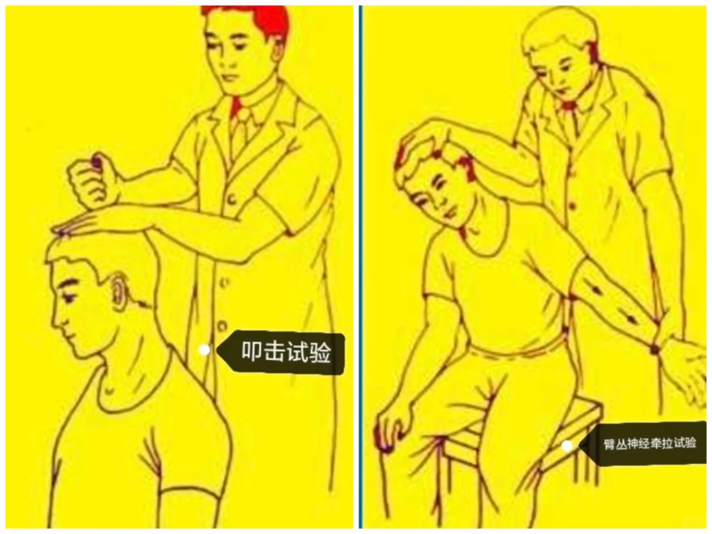 特殊检查相关试验