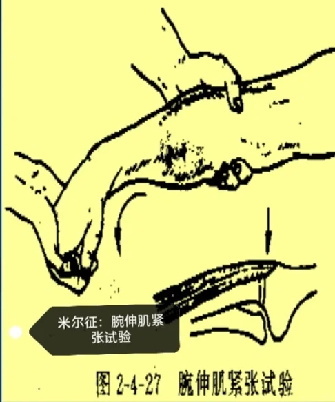 特殊检查相关试验