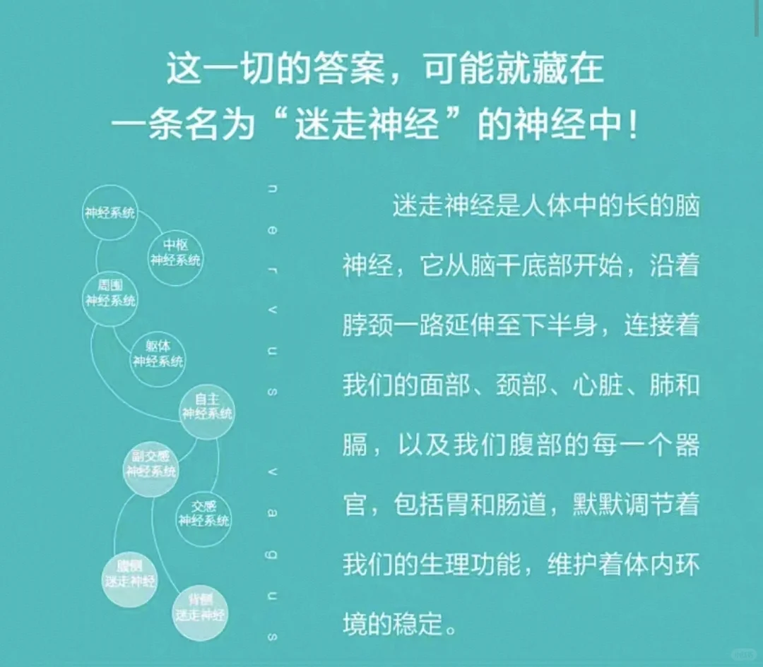 原来这么简单，对抗蕉绿的开关藏在身体里