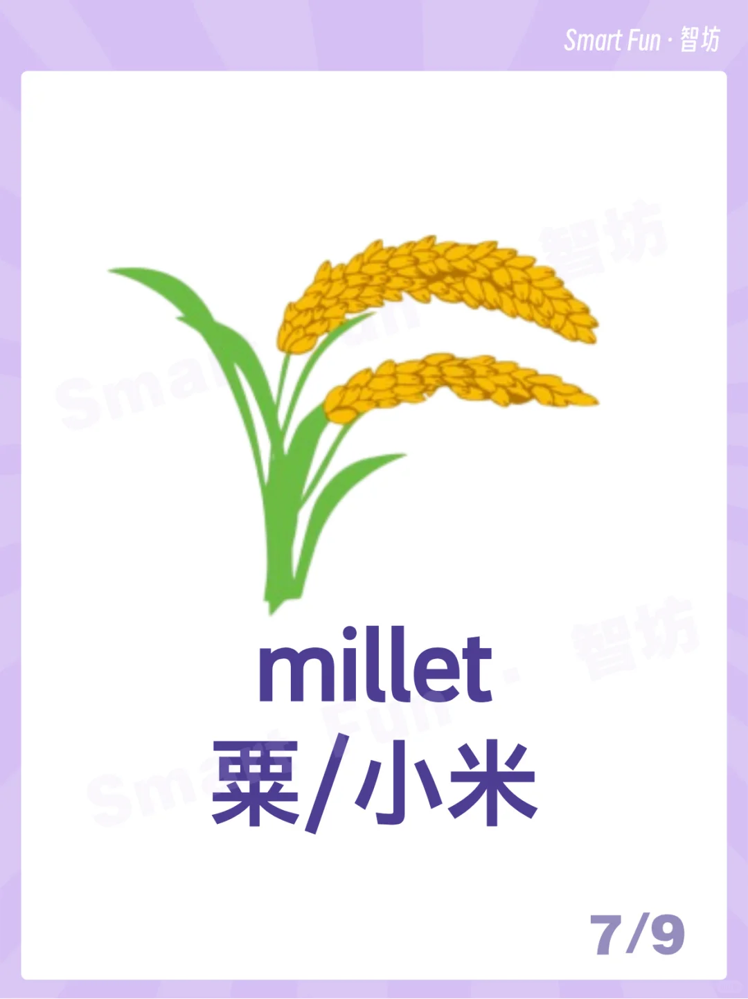 英语词卡｜常见的农作物用英语怎么说