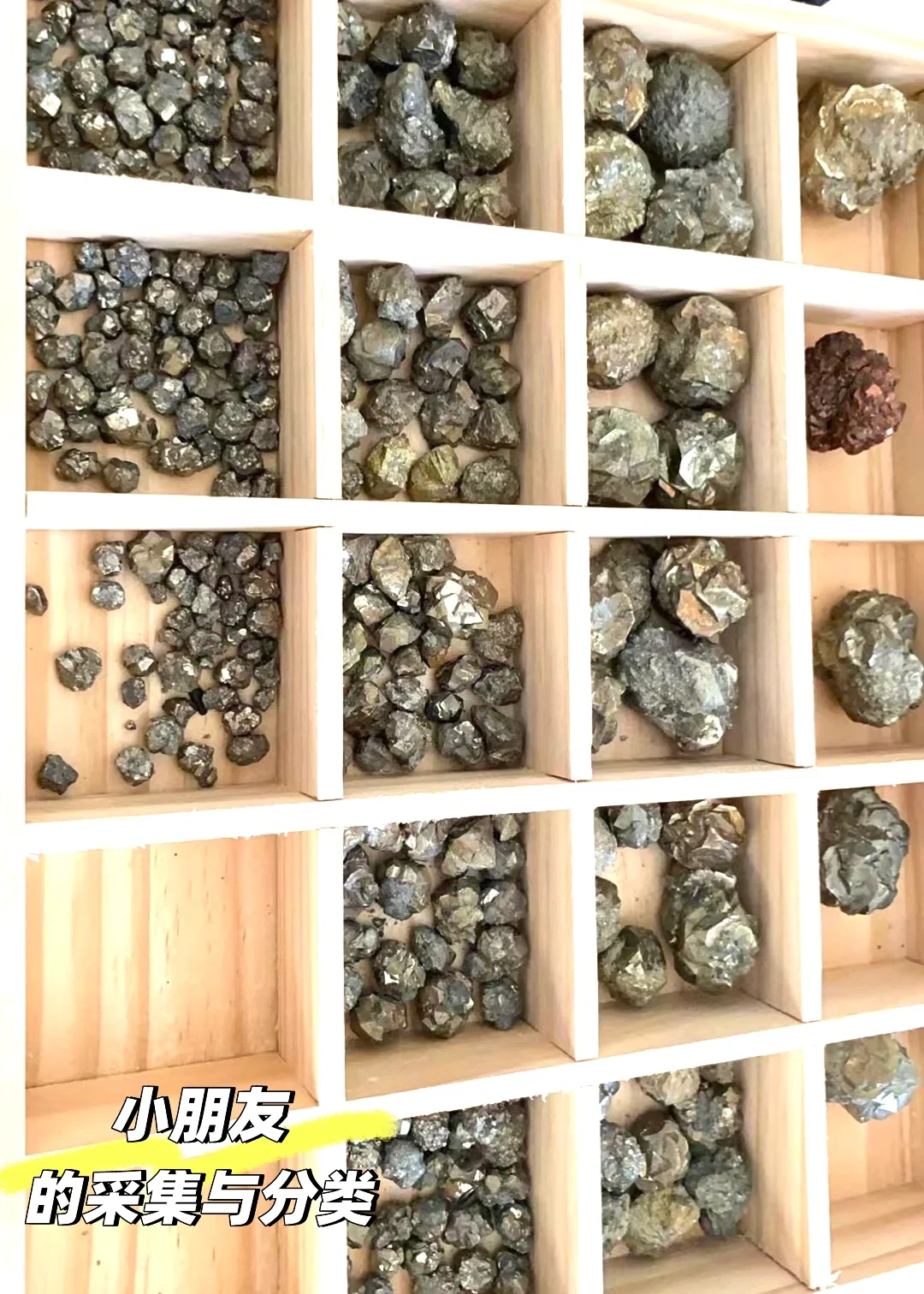 黄金矿工，采集自江苏句容灰岩里的“金疙瘩”