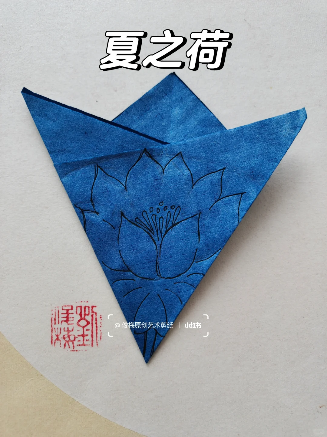 每日一剪｜夏之荷