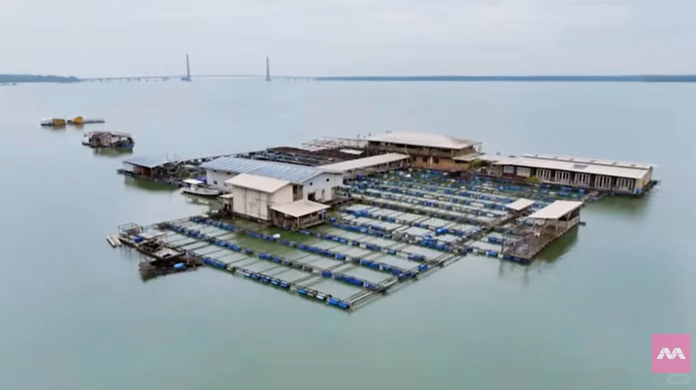 从新加坡开车，玩转马国柔佛边佳兰！！