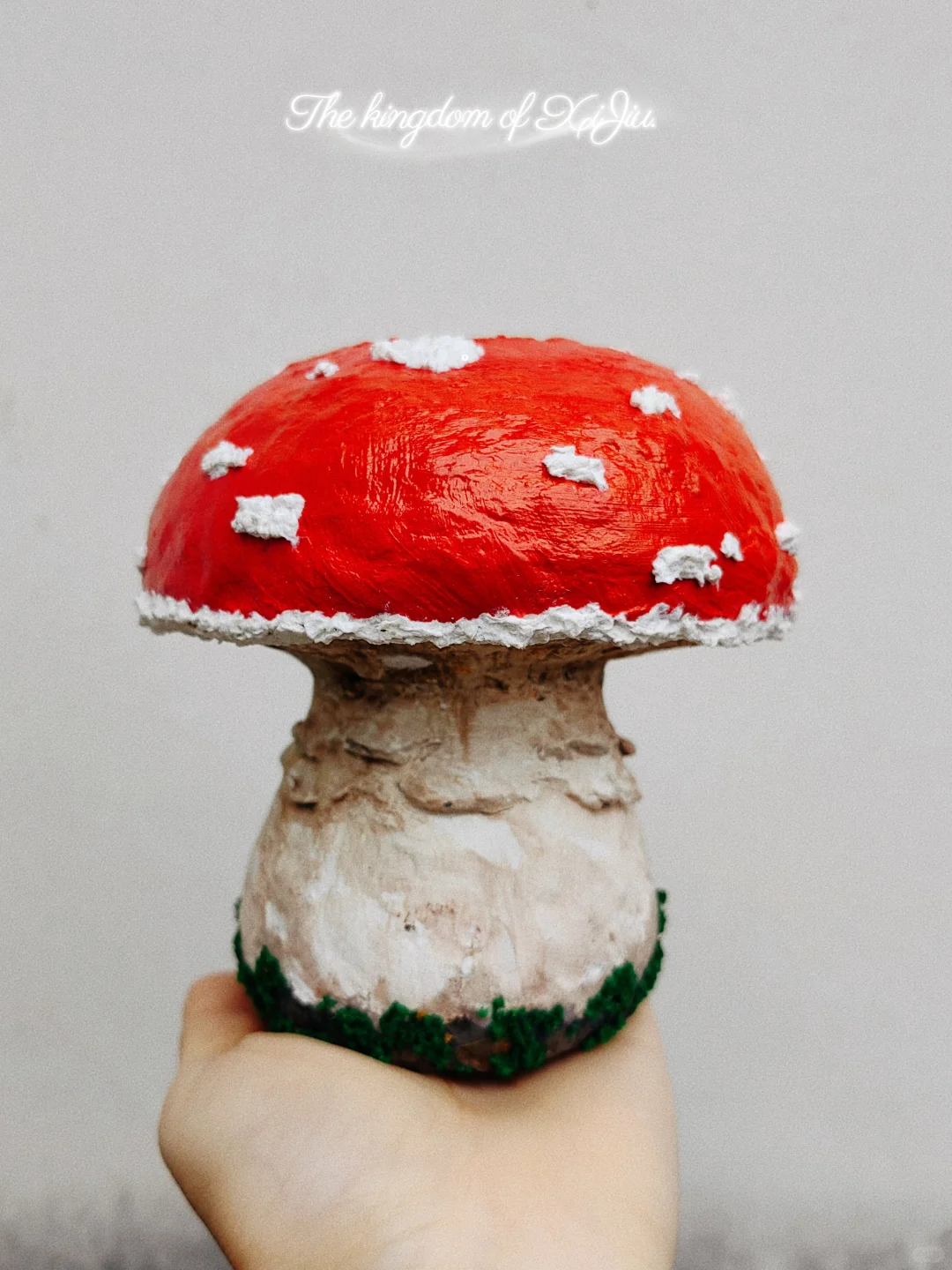 ?谁家的蘑菇这么好看吖～！?