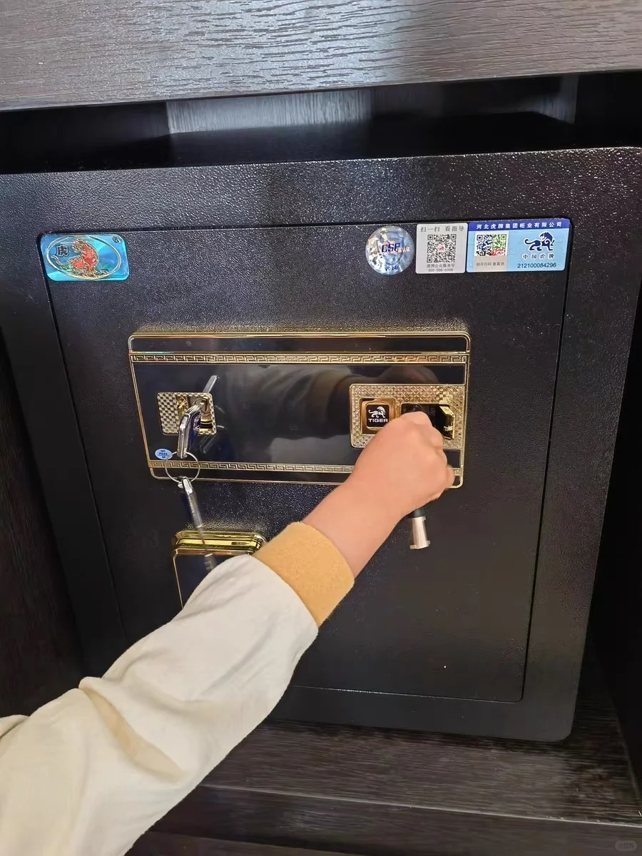 你以为买保险柜的都是家里有矿？❌ 大错特错！