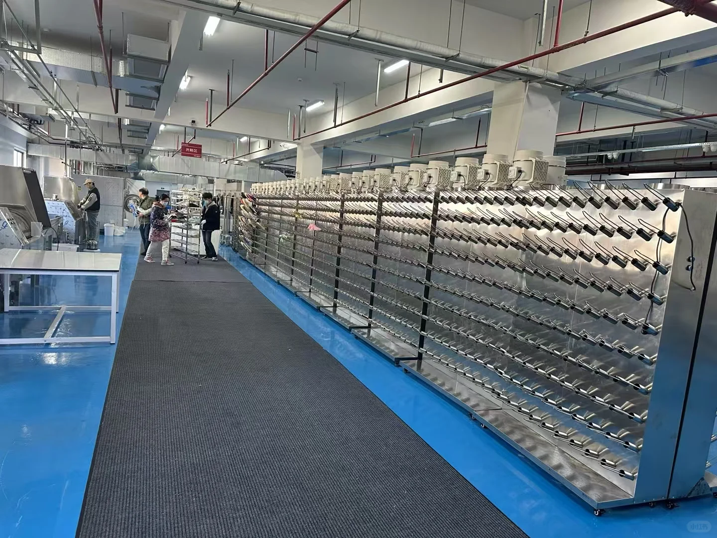 【洗衣工厂】工业洗涤设备供应，专业高效！