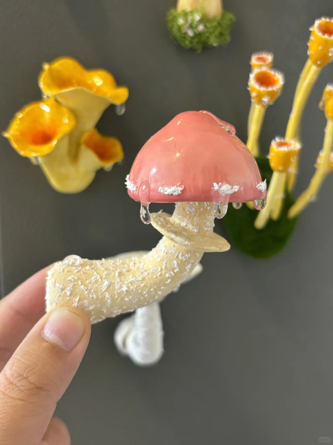 蘑菇蘑菇?‍? 冰箱怎么长蘑菇了？