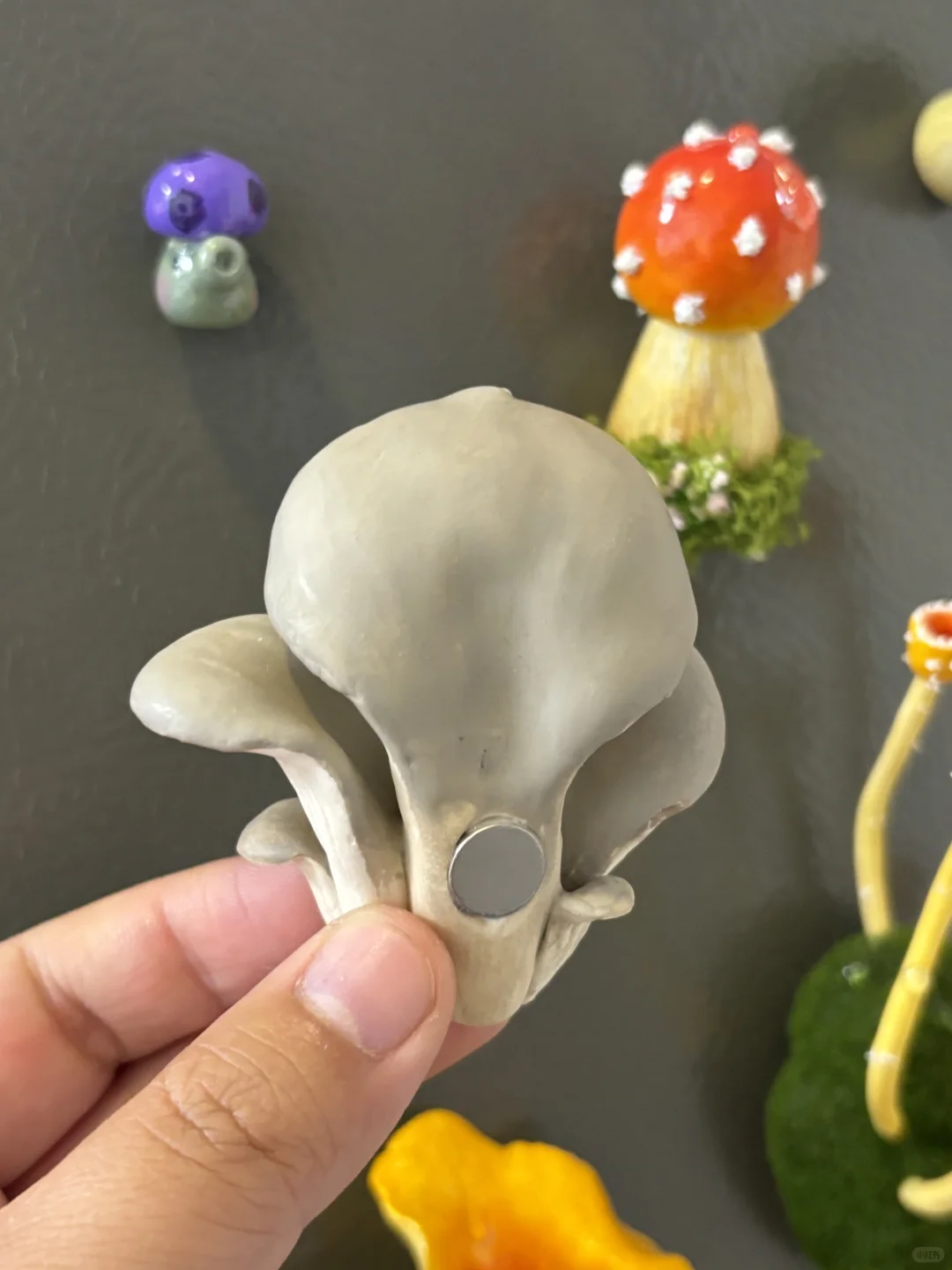 蘑菇蘑菇?‍? 冰箱怎么长蘑菇了？