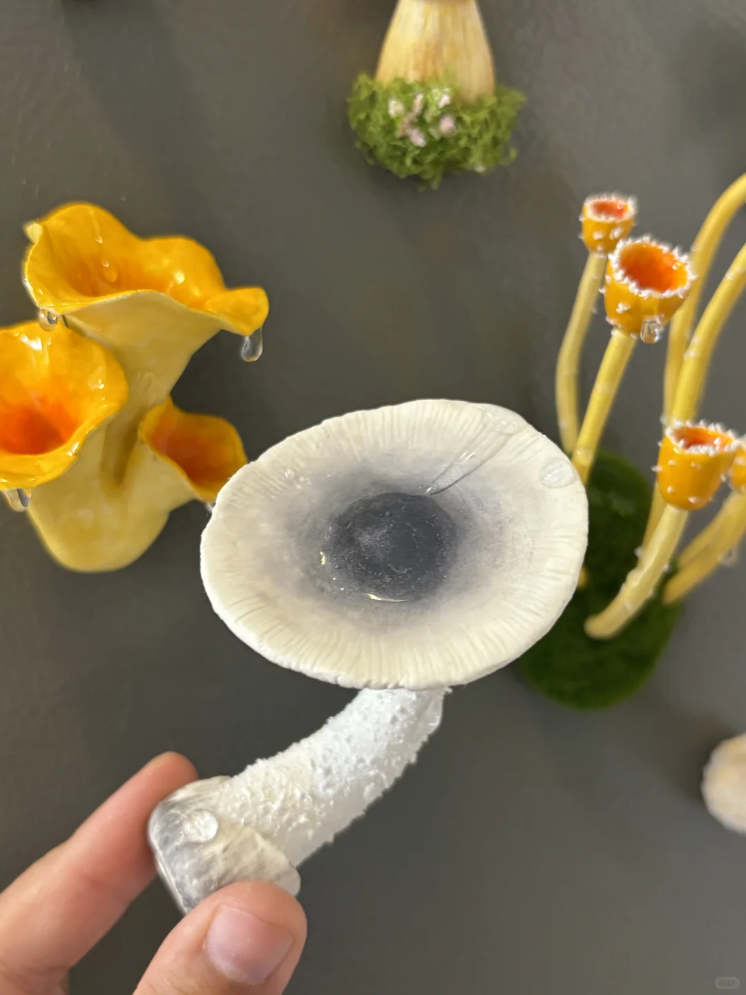 蘑菇蘑菇?‍? 冰箱怎么长蘑菇了？