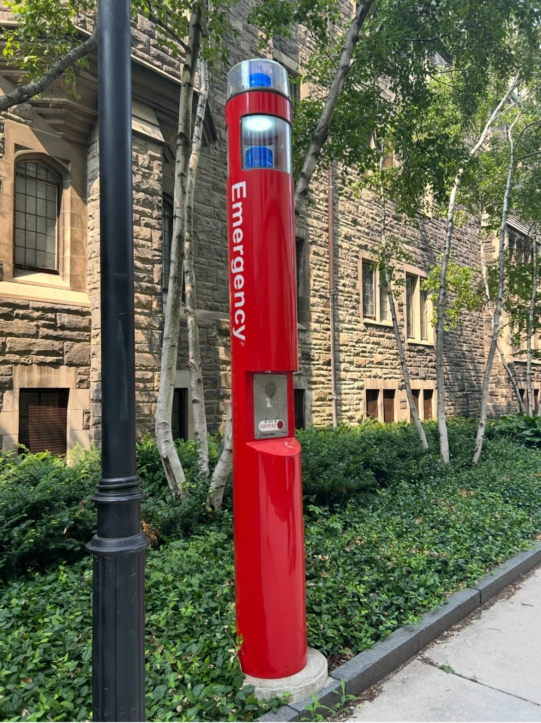 今天的小红书不太聪明的样子啊