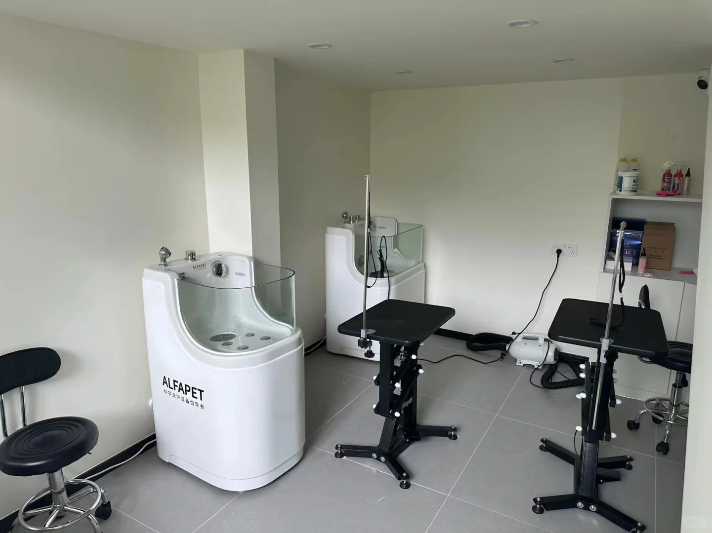 宝藏设备商服！你需要的宠物设备全都有！