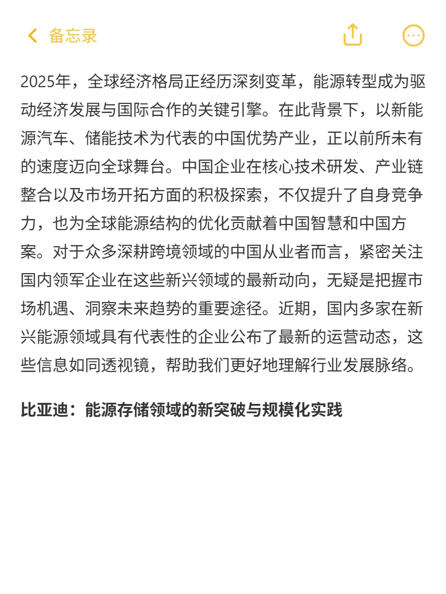 中国储能2025：净利暴涨2836%！海