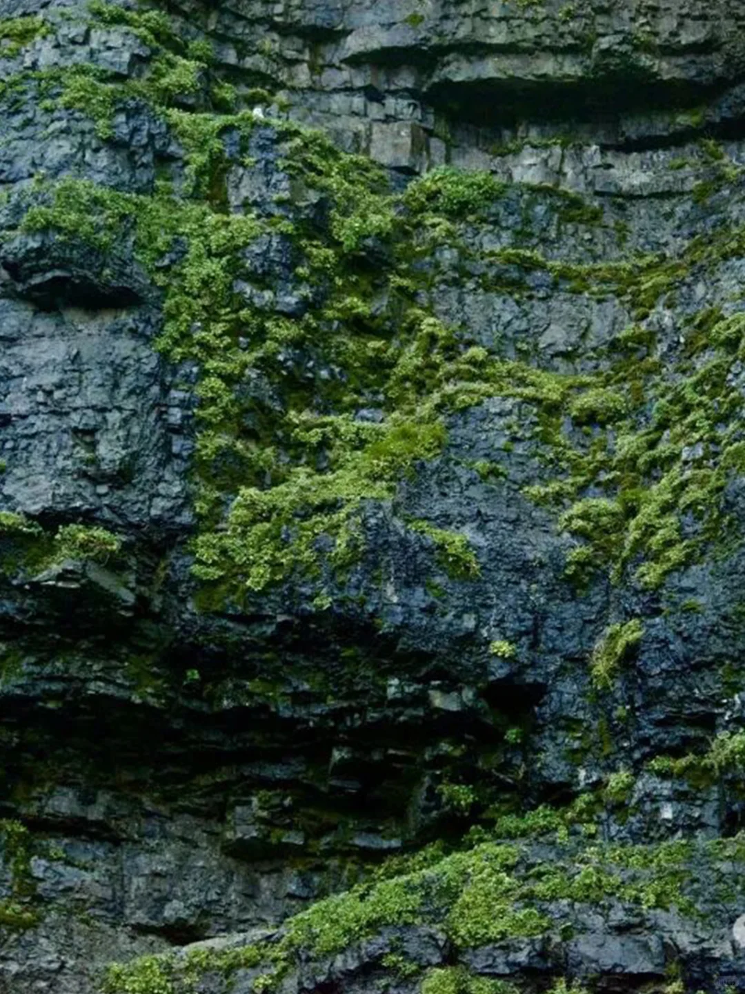 熊岛：名不副实的北极“熊”地