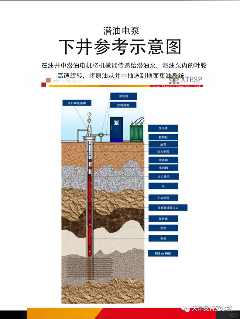 潜油泵 1000米扬程电泵