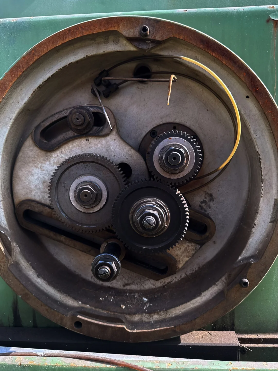 时光不语自清浅·岁月无言亦安然