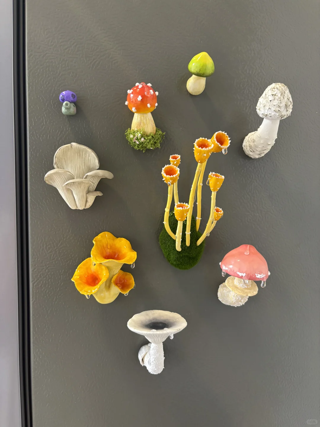 蘑菇蘑菇?‍? 冰箱怎么长蘑菇了？