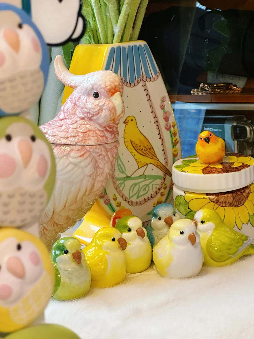 鸟友留步！一起吃大盘鸡?吗？