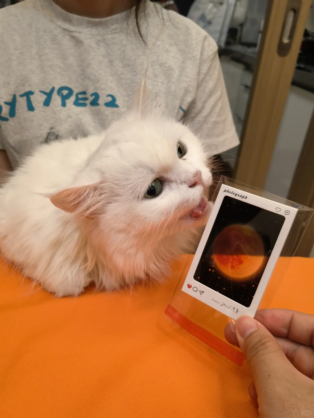 2025.9.8月全食透卡成品来啦！