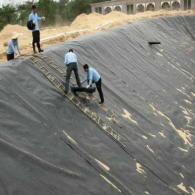 青岛防渗土工膜选购技巧