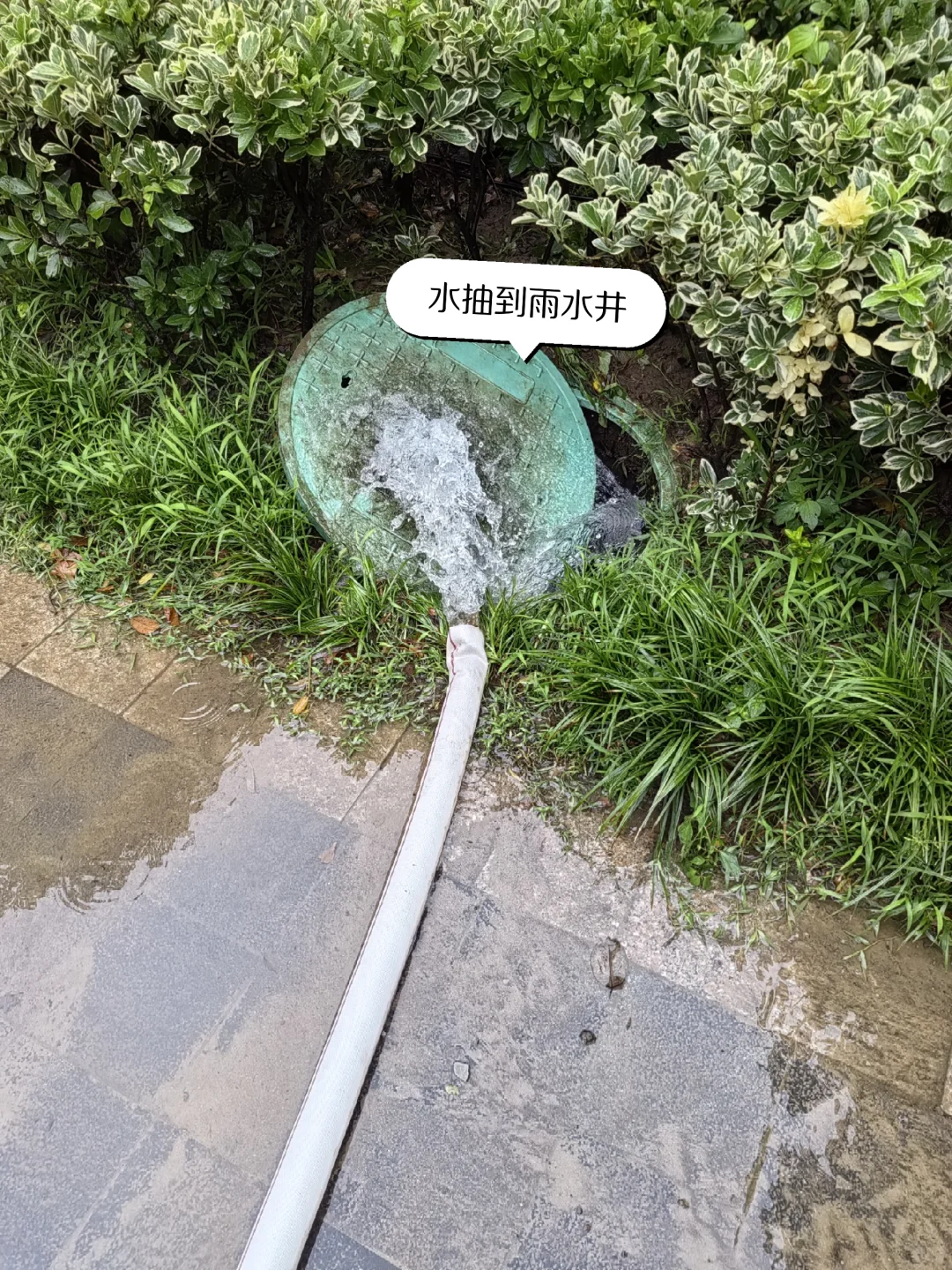 当抗洪老兵在家抗台风?