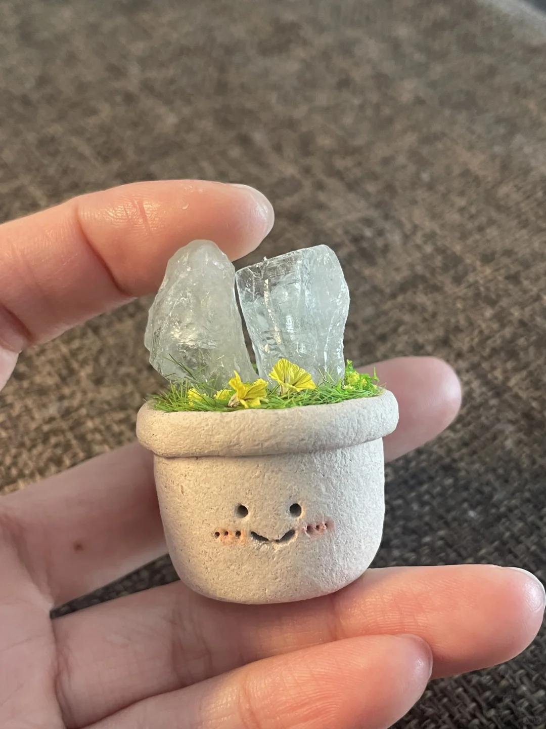 水晶小豆丁待领养～