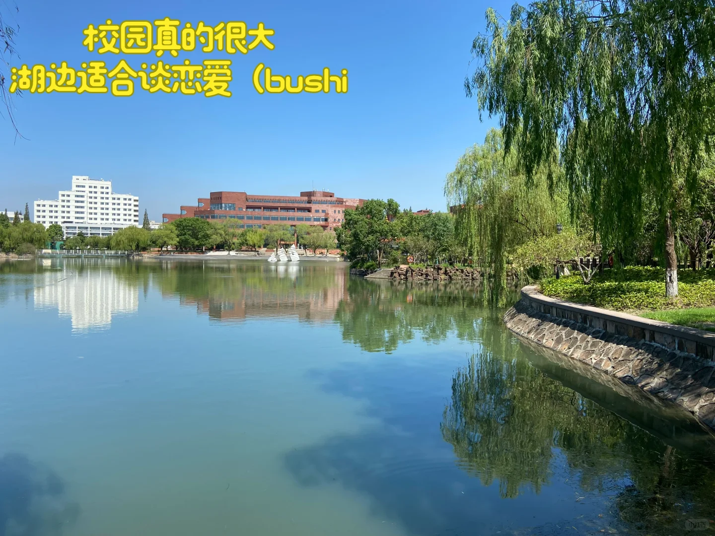 民间招生办｜上海交大 安泰就读体验分享