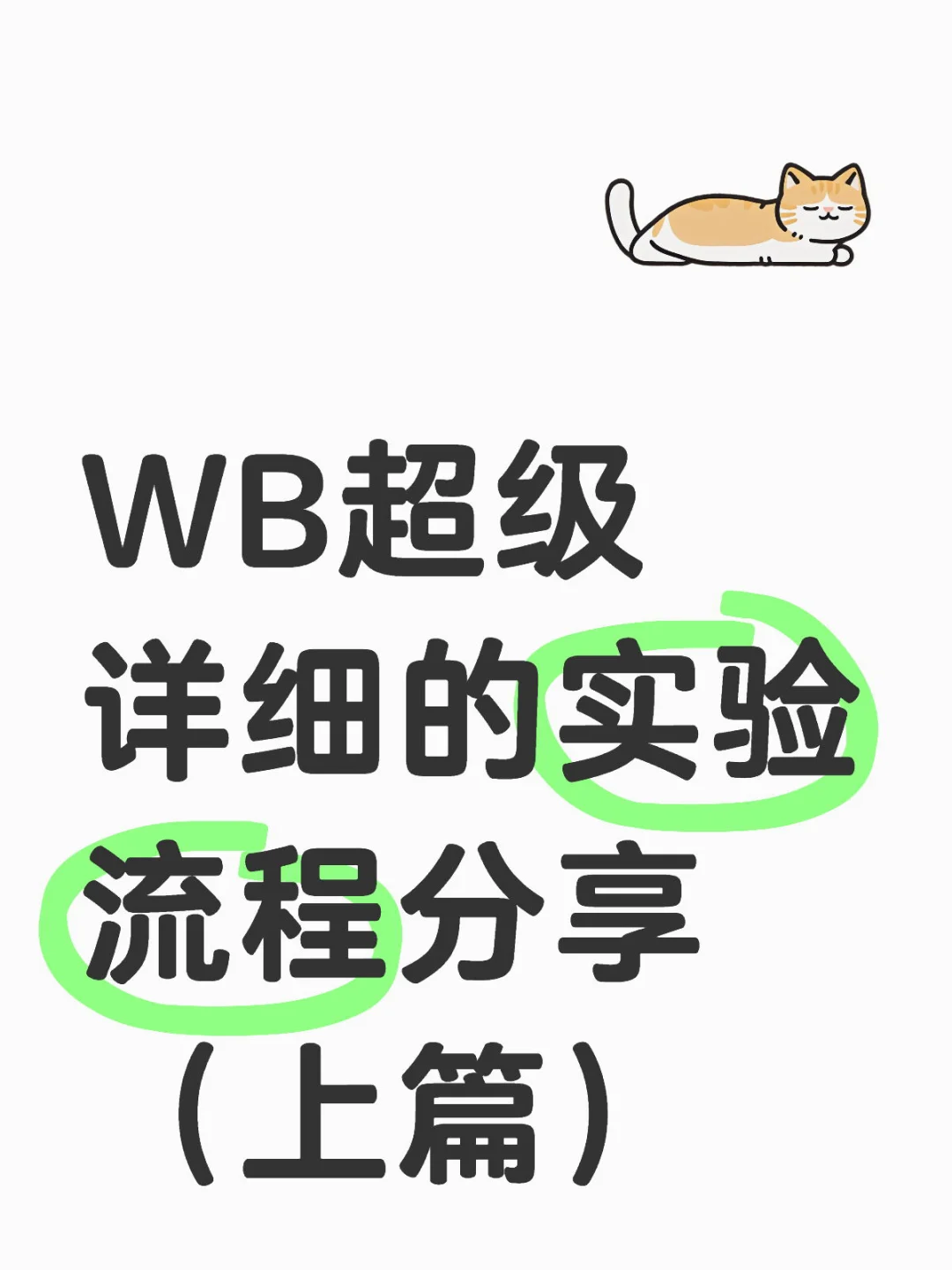 WB超级详细的实验流程分享（上篇）小白必会