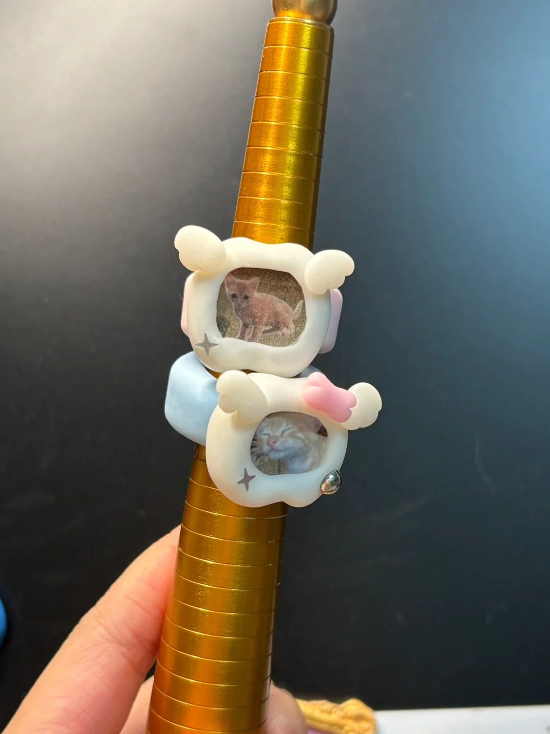 全体猫咪??到时见～