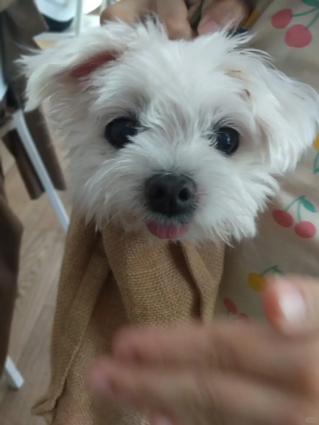 收藏的眼影盤，已絕版