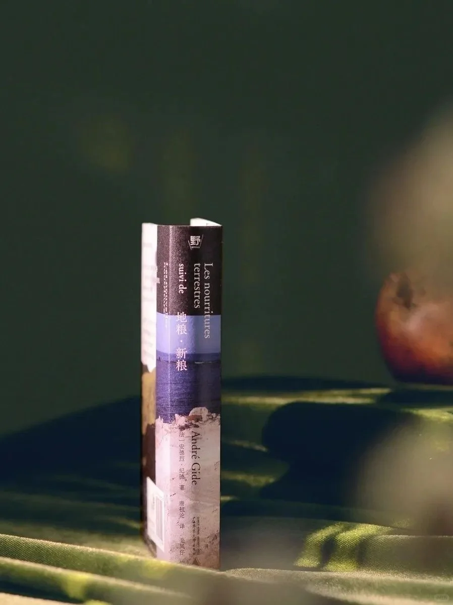 布面压花，这么美的封面！你知道是哪本书吗？