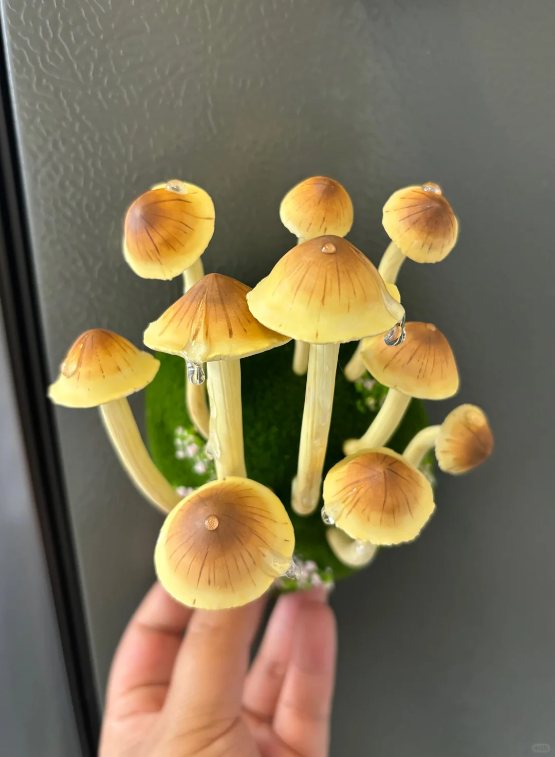 蘑菇蘑菇?‍? 冰箱怎么长蘑菇了？