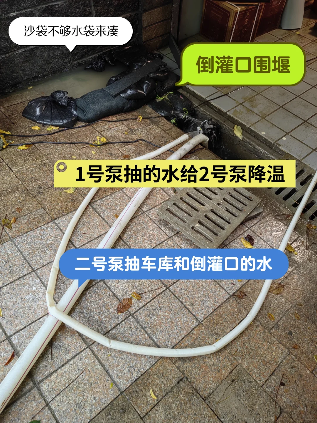 当抗洪老兵在家抗台风?