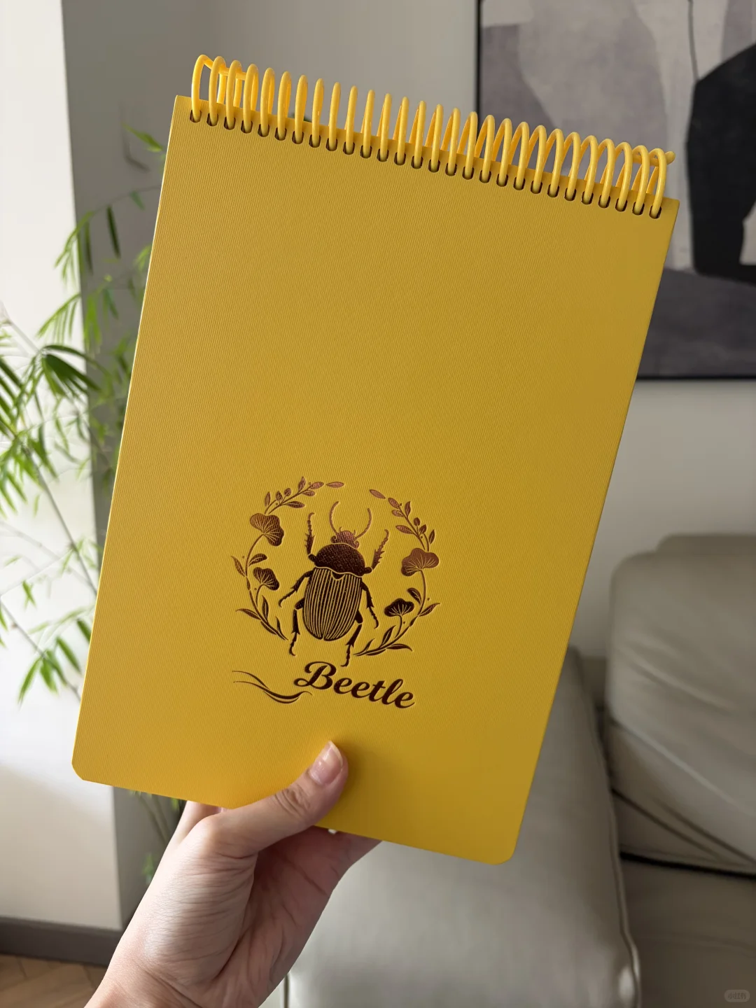 新入昆虫系列上翻纯色本！