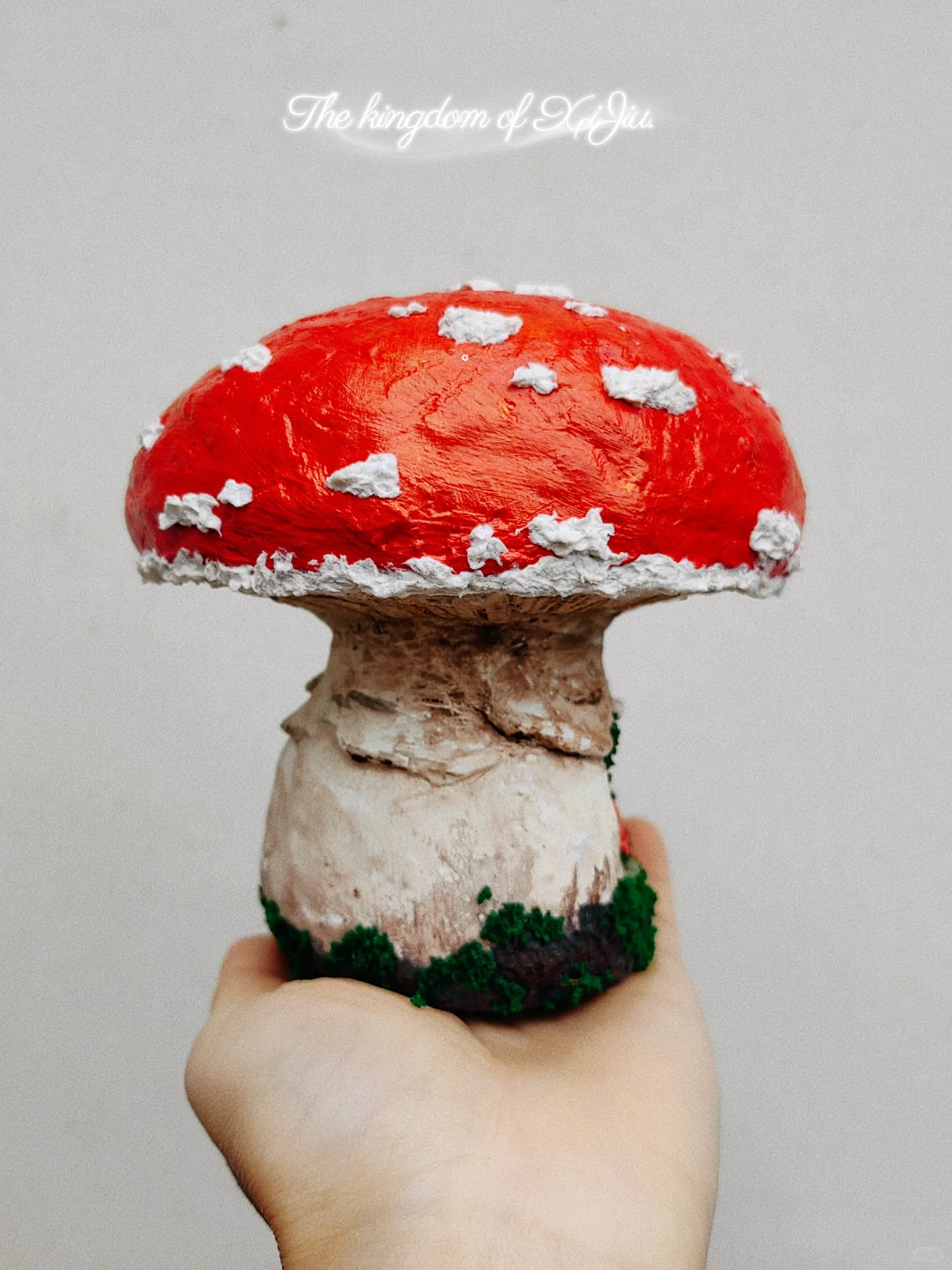 ?谁家的蘑菇这么好看吖～！?